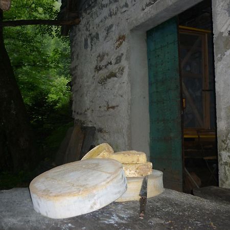 Da Erminia Bed and Breakfast Verdabbio Εξωτερικό φωτογραφία