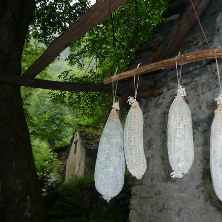 Da Erminia Bed and Breakfast Verdabbio Εξωτερικό φωτογραφία