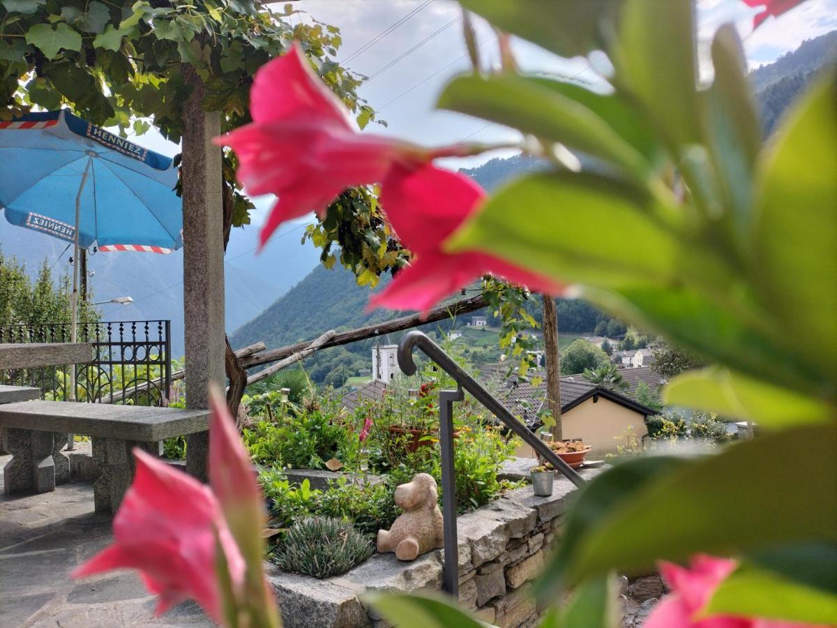 Da Erminia Bed and Breakfast Verdabbio Εξωτερικό φωτογραφία