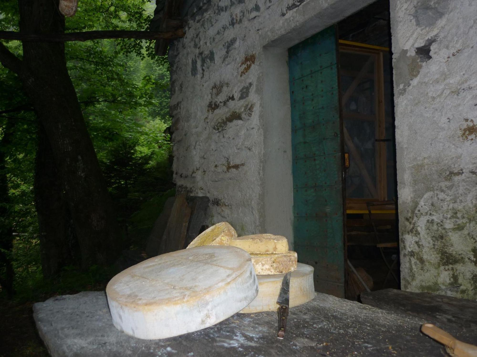 Da Erminia Bed and Breakfast Verdabbio Εξωτερικό φωτογραφία