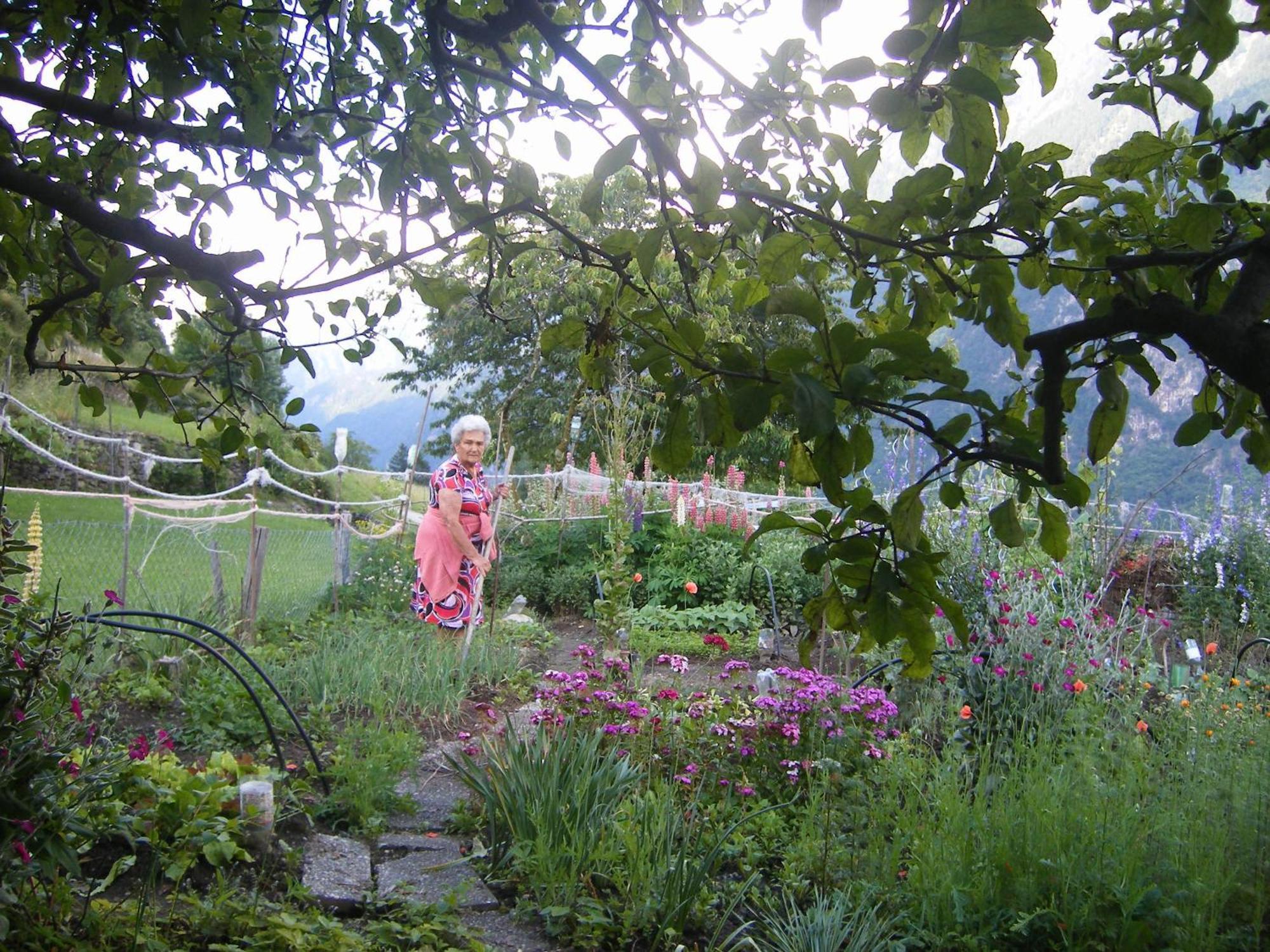 Da Erminia Bed and Breakfast Verdabbio Εξωτερικό φωτογραφία