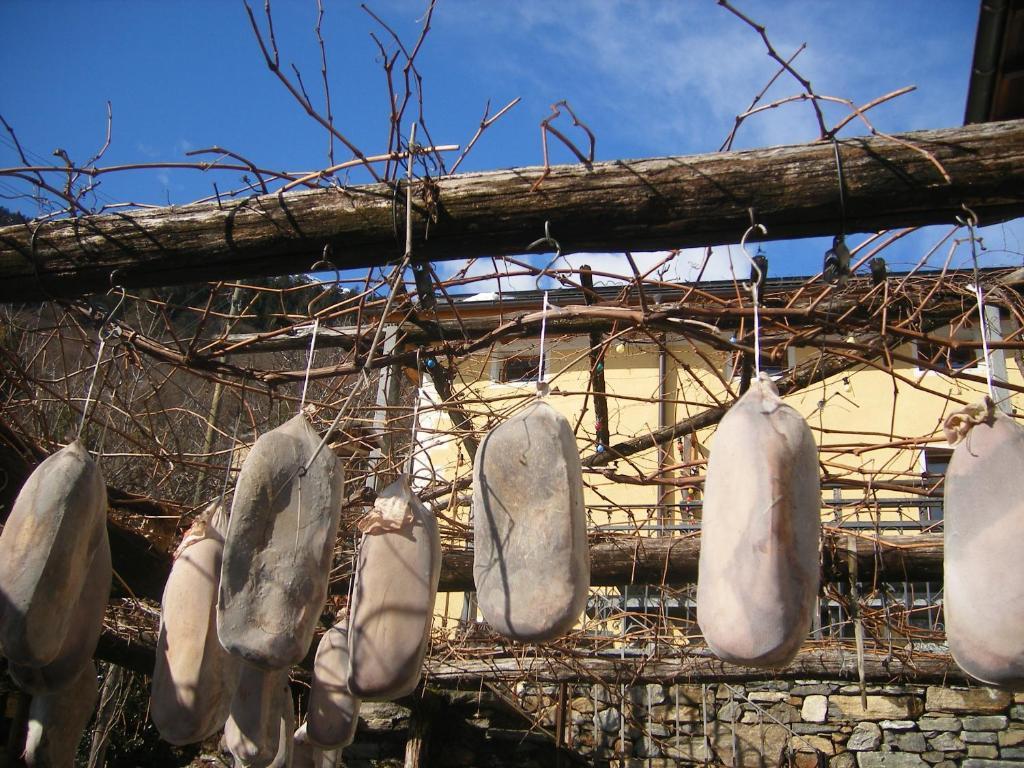 Da Erminia Bed and Breakfast Verdabbio Εξωτερικό φωτογραφία